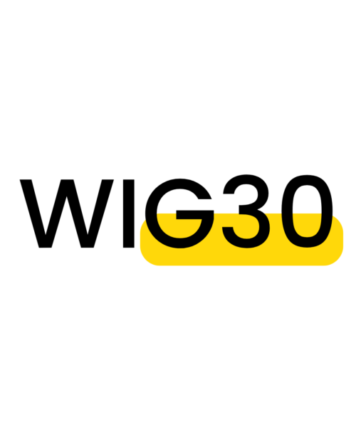 WIG30