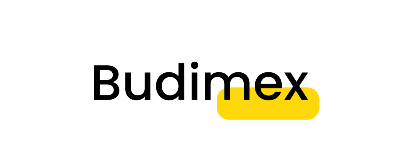 Budimex - kurs i wykres BDX na żywo